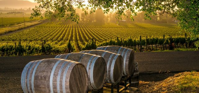 The Best US Wineries